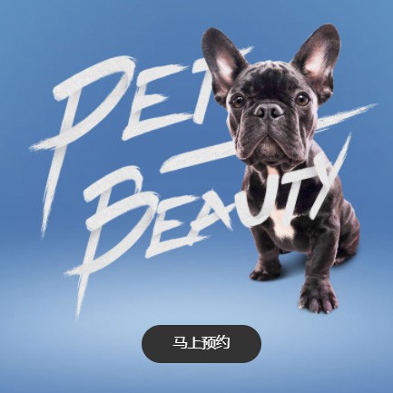 长寿宠物中心小程序开发